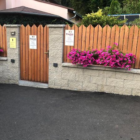 Penzion Radosov Ubytovani V Soukromi Kyselka  Buitenkant foto