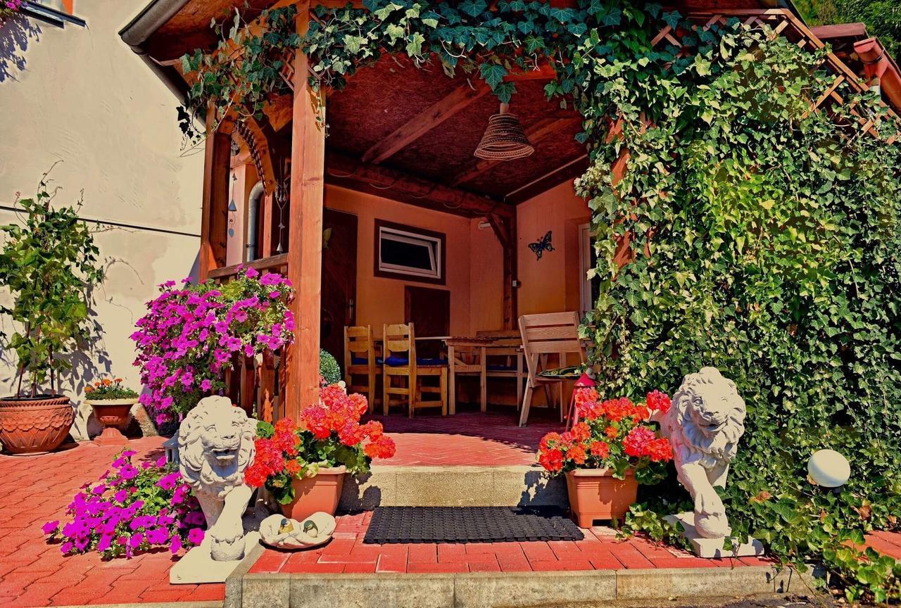 Penzion Radosov Ubytovani V Soukromi Kyselka  Buitenkant foto